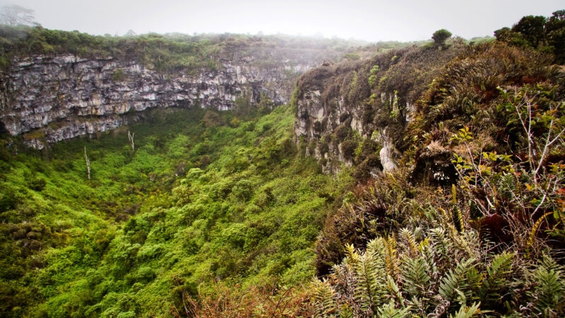 Amazing landscape of Twin Craters, Los Gemelos, mysterious mossy forest
