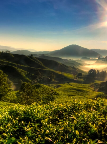 When is the Best Time to Visit Malaysia?