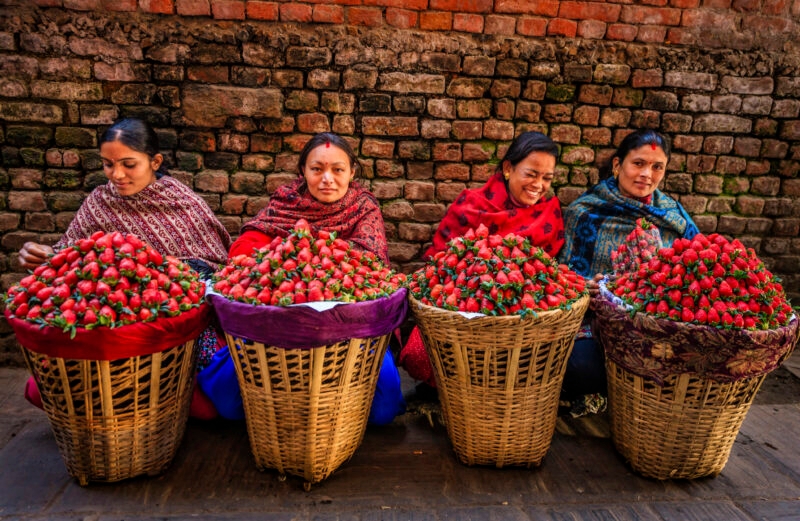 Women selling strawberries Nepal