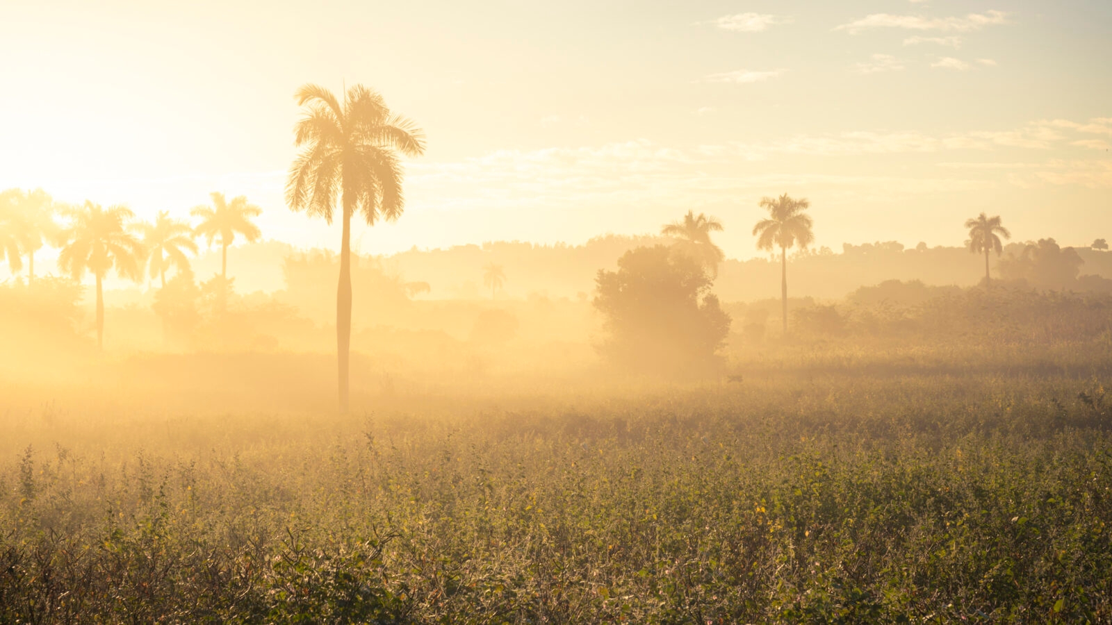 vinales sunrise