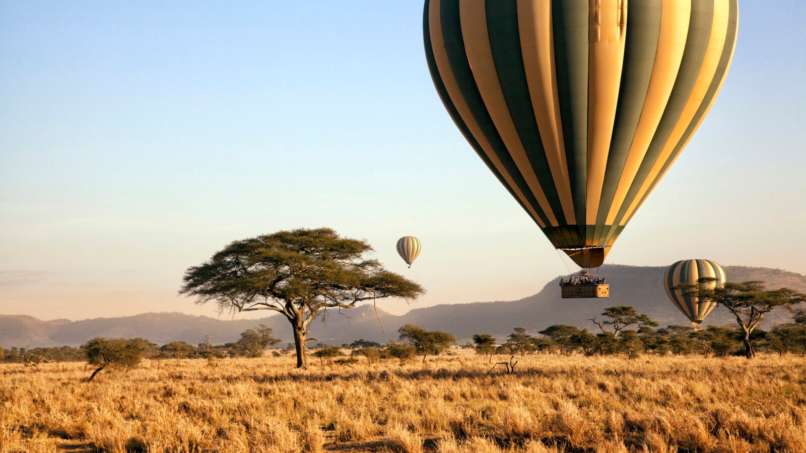 Balloon ride over the Serengeti, Tanzania