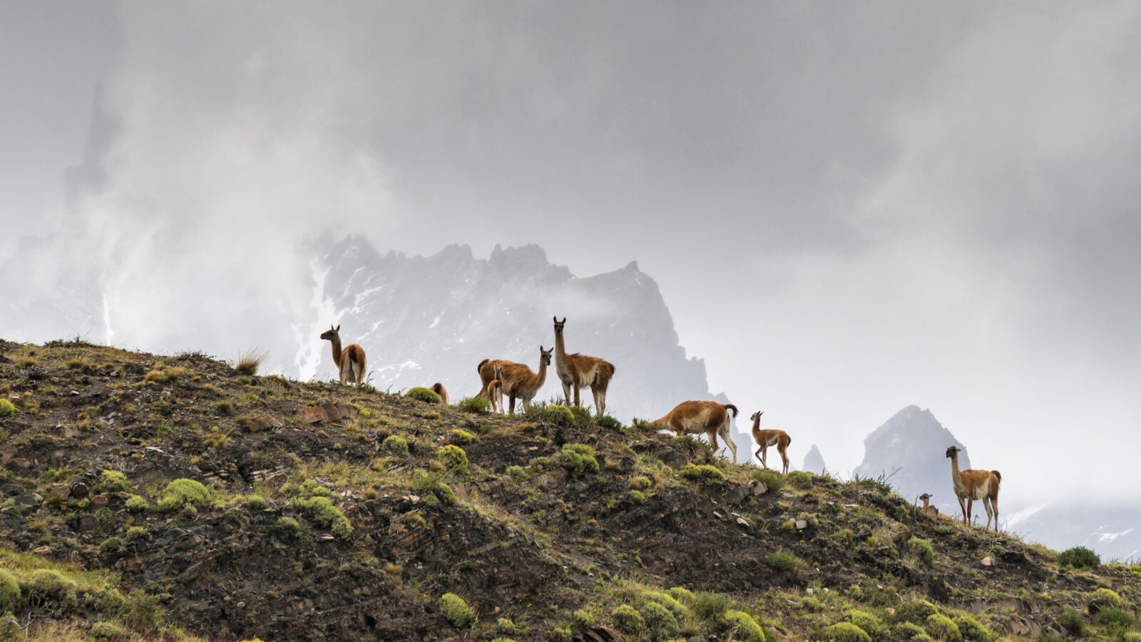 torres-del-paine-patagonia-chile