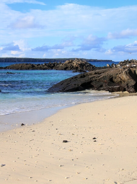 Land vs Cruise in the Galapagos Islands