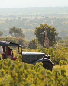 Cottar's 1920s Safari Camp