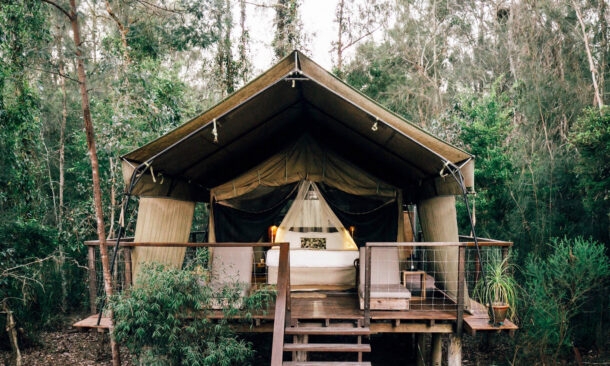 Paperbark Camp