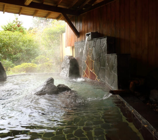 The baths at Yoshimatsu Ryokan, Hakone, Japan