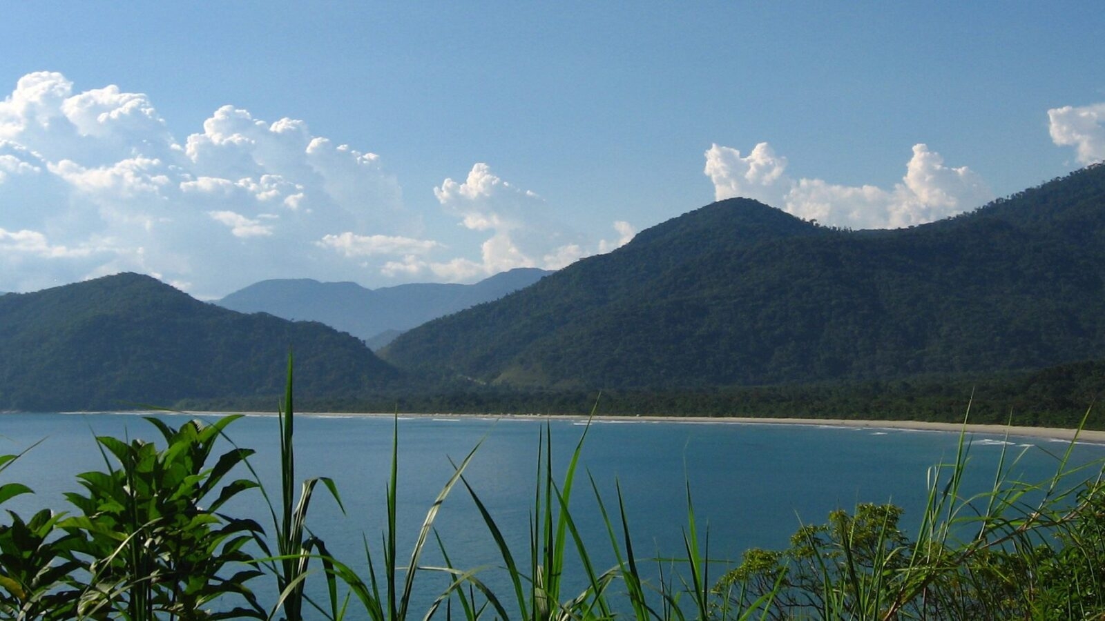 picinguaba-landscape