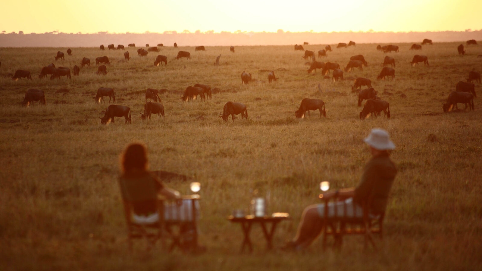 sundowners-africa-elephants