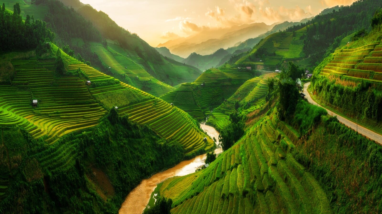 rice-field-mu-cang-chai-sapa-vietnam