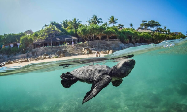 Luxe Java, Sumba and Komodo Adventure