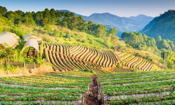 chiang-rai-countryside