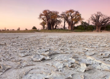The Makgadikgadi Pans thumbnail