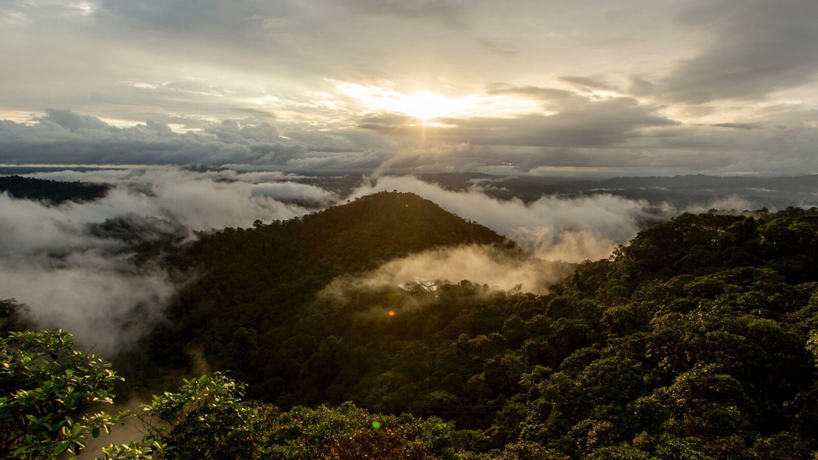 mashpi-lodge-cloud-forests-ecuador