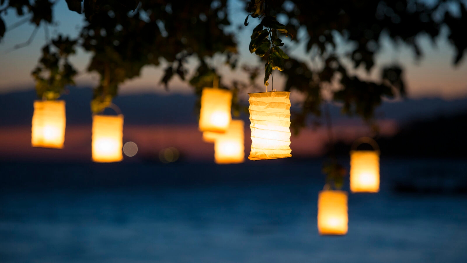 amanwana-lanterns