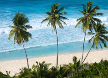 The Seychelles thumbnail