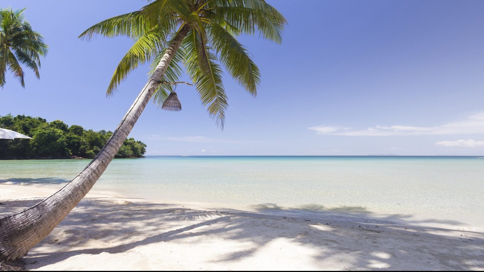 koh-khood-beach-and-palm