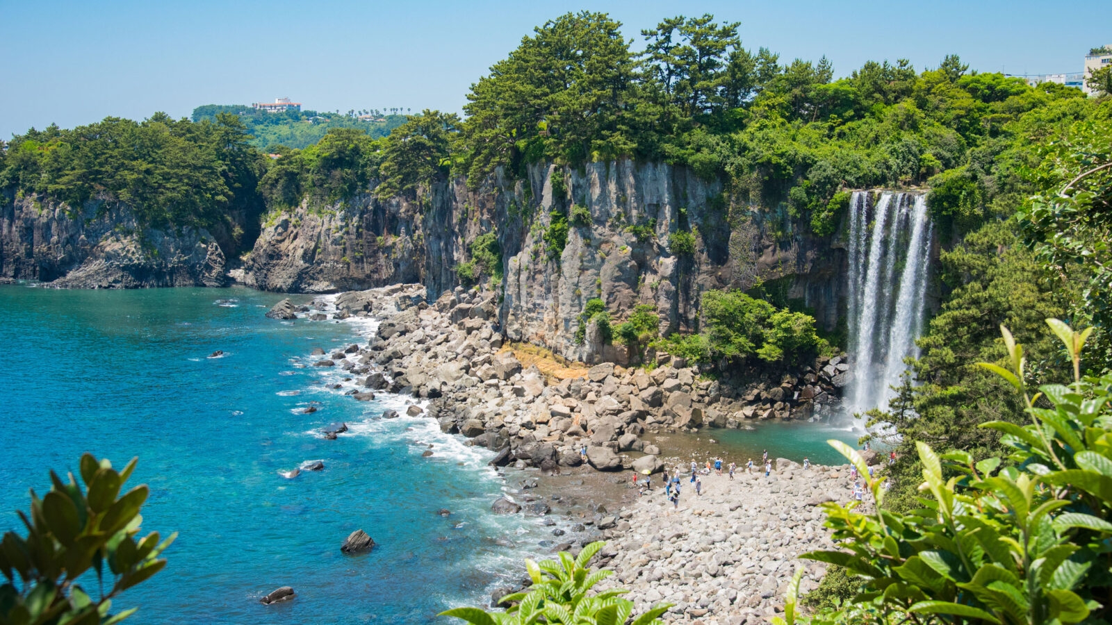 The cascading water of the Jeongbang Waterfall falling directly into the crystal blue sea in Jeju-do, South Korea