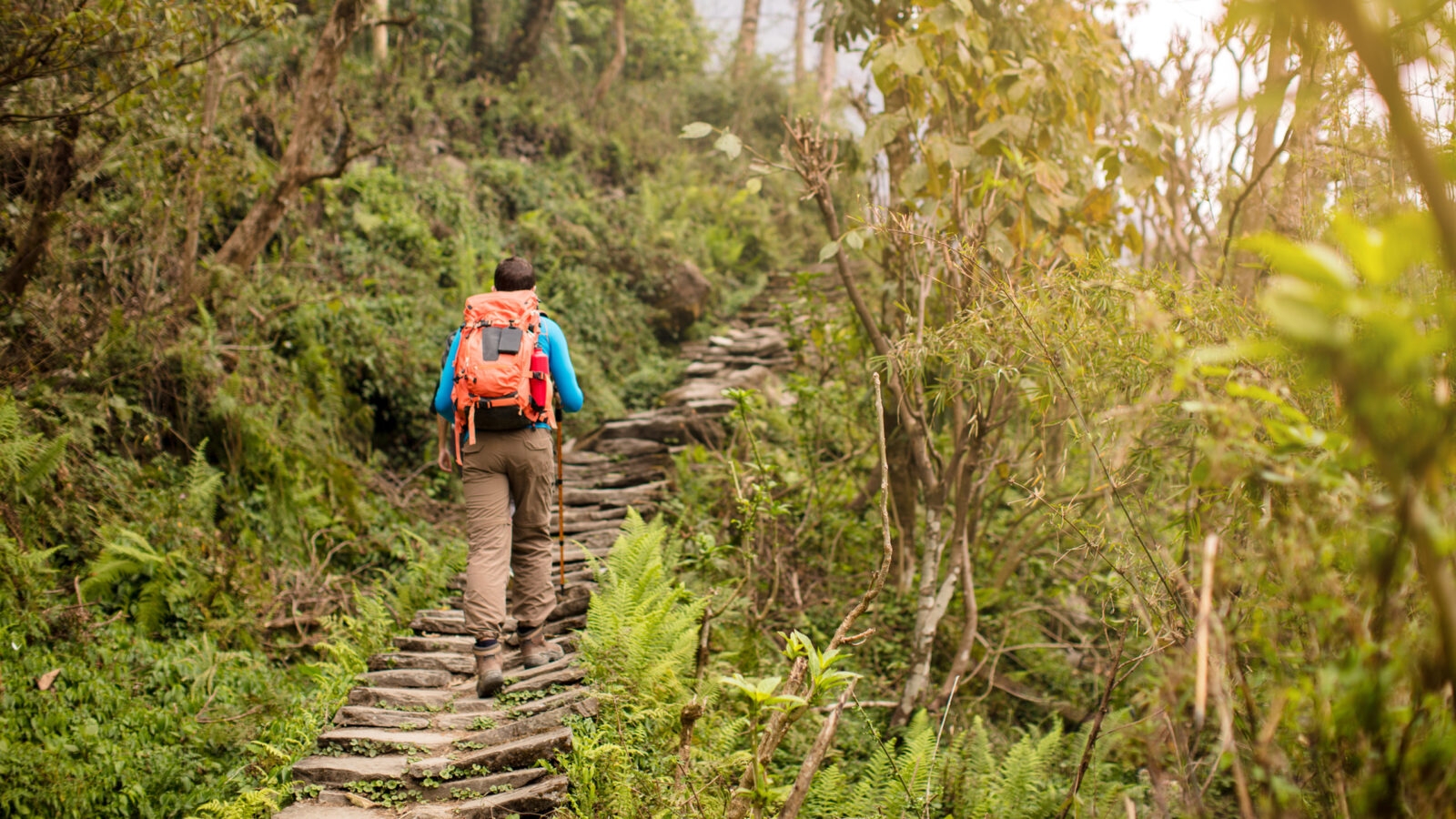annapurna-region-hiking