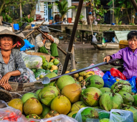 Vietnamese woman selling coconuts on floating market, Mekong River Delta, Vietnam
