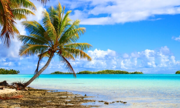 Beaches and Reefs of French Polynesia
