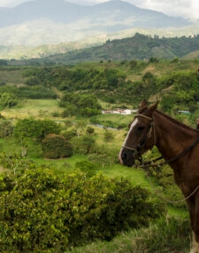 Family Fun in Beautiful Colombia