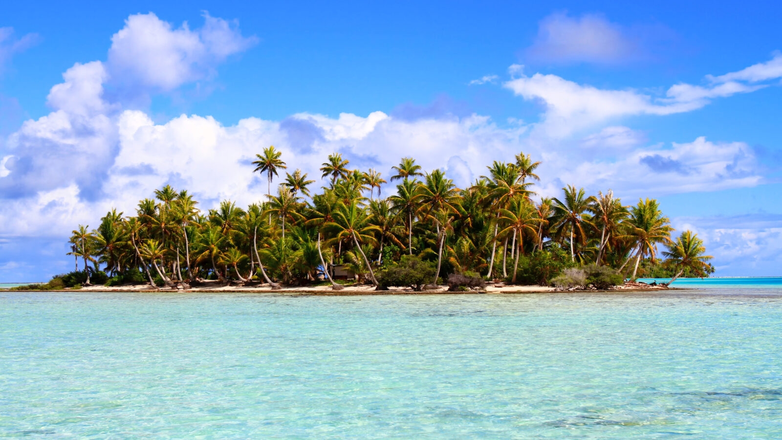 Rangiroa atoll, Tuamotu islands, French Polynesia.