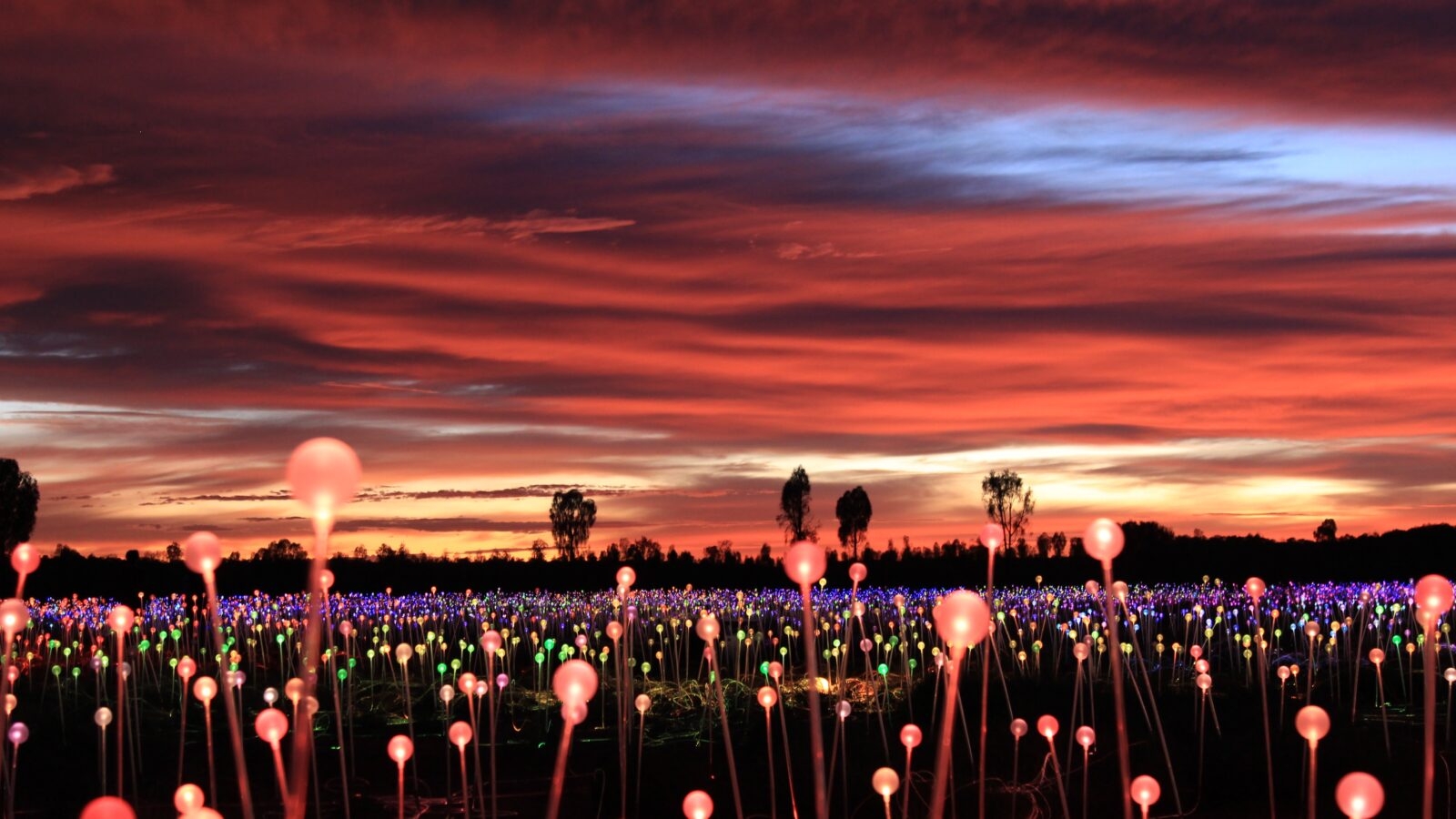 uluru-australia-field-of-light-bruce-munro