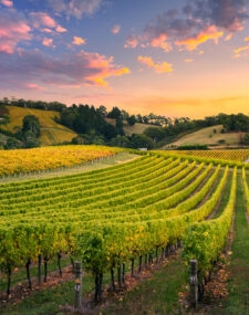 An In-depth Discovery of South Australia