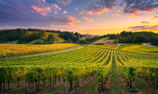 An In-depth Discovery of South Australia