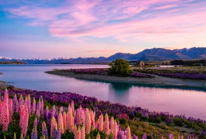 The Best of Australia and New Zealand