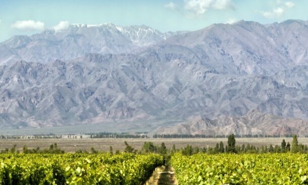 The Best of Brazil, Argentina and Chile