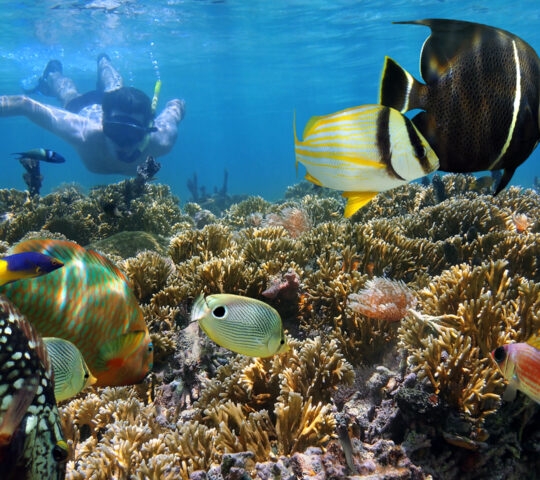 costa rica snorkelling
