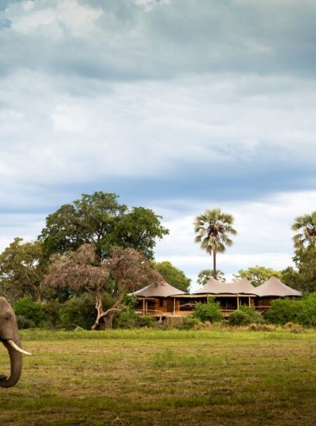 Where to Stay in Botswana