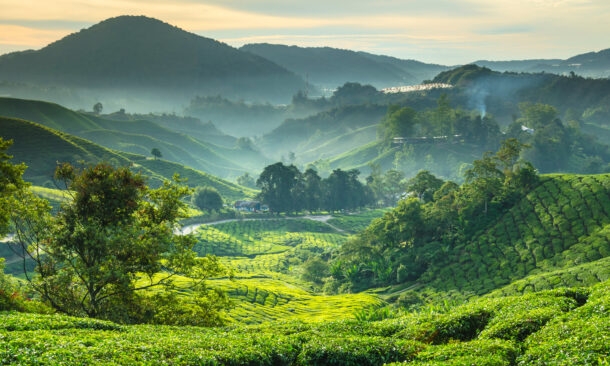 Trekking in the Highlands