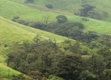 Boca Tapada near San Carlos thumbnail