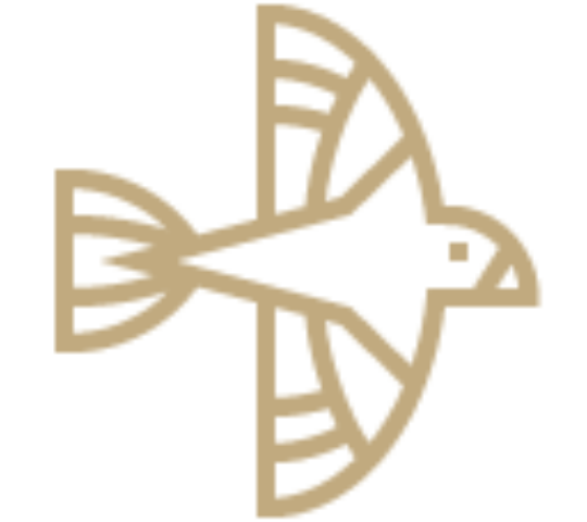 Positive Impact illustration image