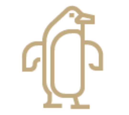 Authentic experiences illustration image