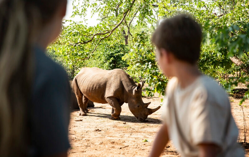 People watching a rhinoceros in the wild on luxury Zambia tours.