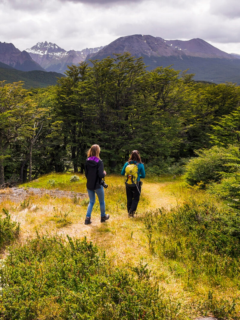 Two hikers walking away from the camera through a grassy meadow toward a forest and mountains. Luxury Argentina vacations.