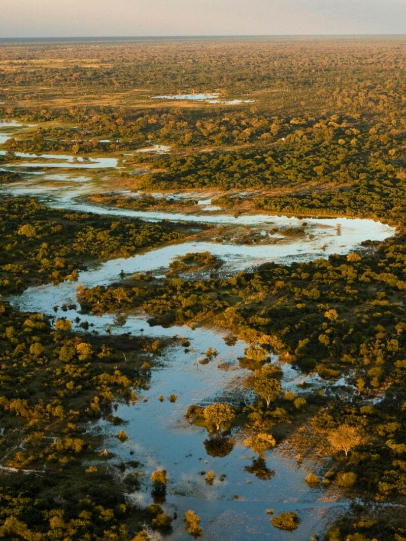 Luxury Botswana Tours - Aerial view of Selinda Adventure Trail, a winding river flowing through tree covered landscape in Botswana, Africa.