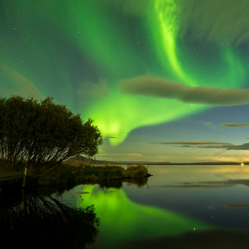 The bright green Northern Lights reflect in a calm lake next to a dark shoreline and tree, capturing luxury Iceland holidays.
