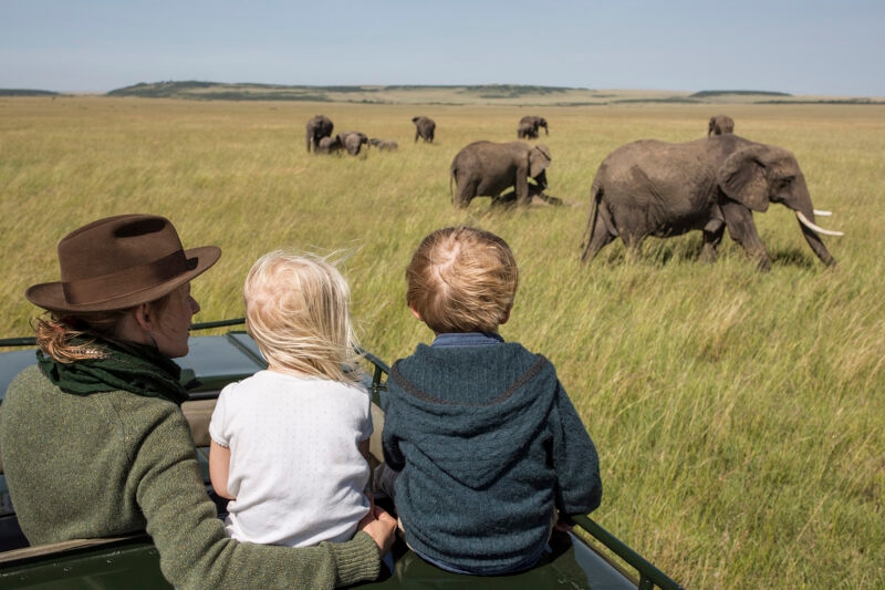 A family on a luxury Kenya family safari watches wild elephants grazing in a vast grassy field from a vehicle.