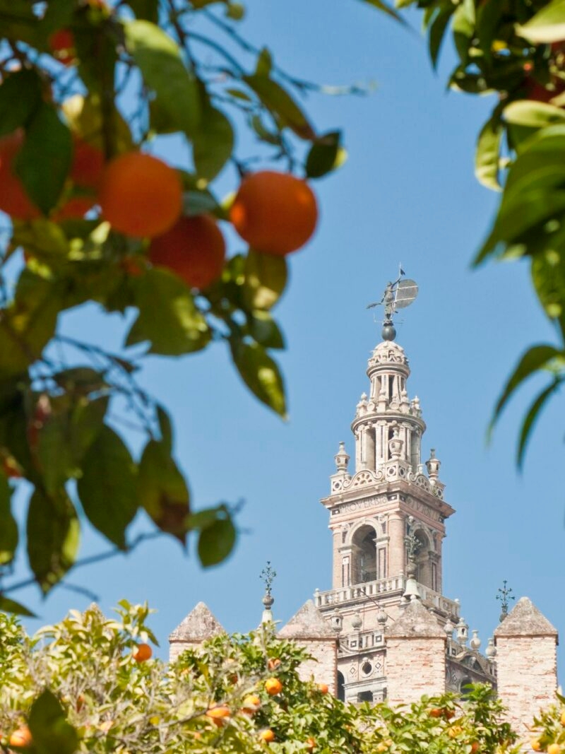 Historic tower framed by orange trees and leaves against a blue sky, characteristic of luxury Spain tours.