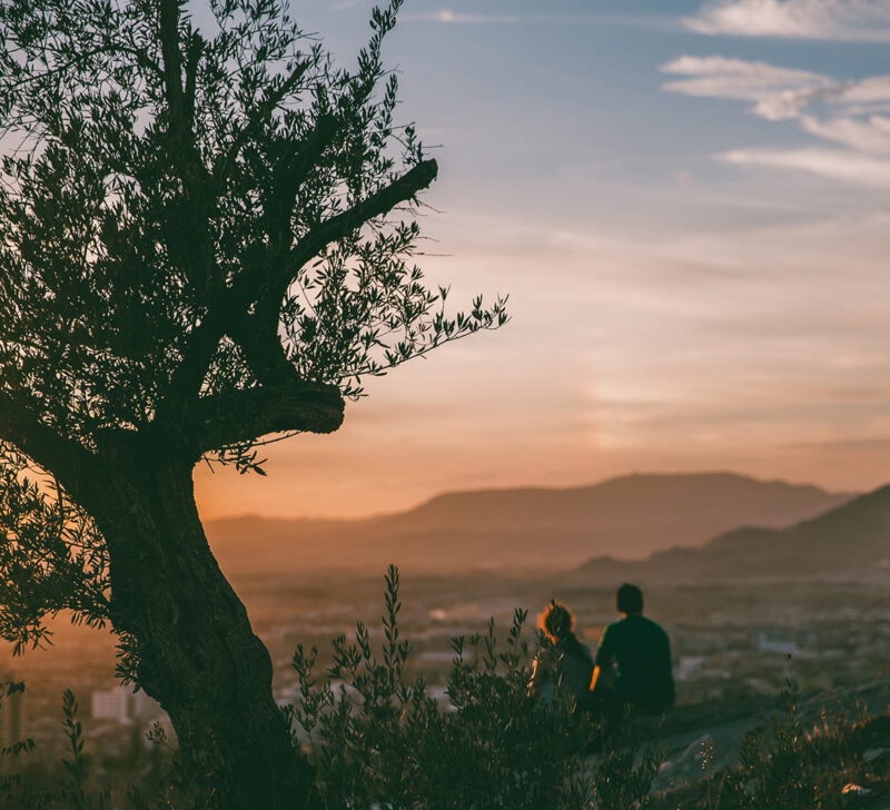 Silhouetted olive tree in the foreground as a couple watches the sunset over mountains, for luxury Spain holidays.