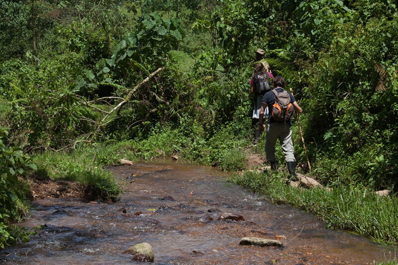 Hikers with backpacks walk on a dirt path beside a small stream surrounded by green trees.