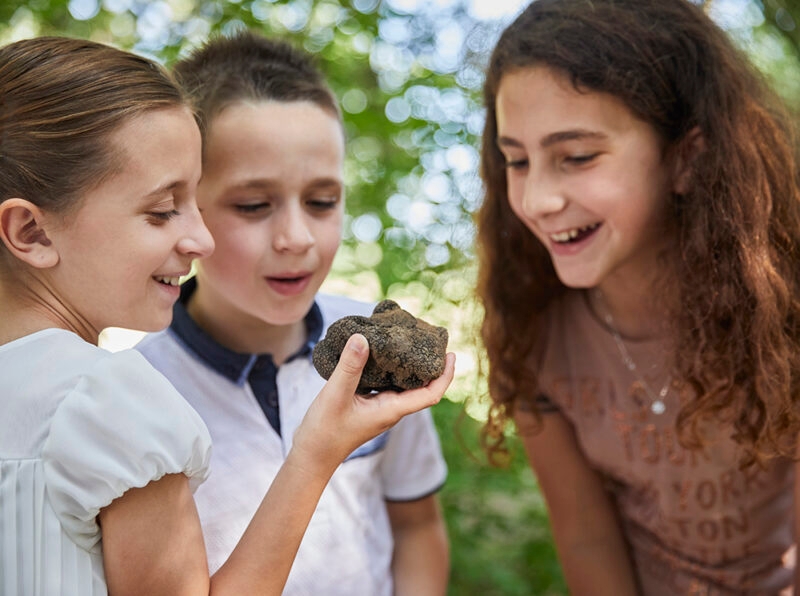 Three children look at a large truffle held in a hand during luxury Italy family tours in a forest.