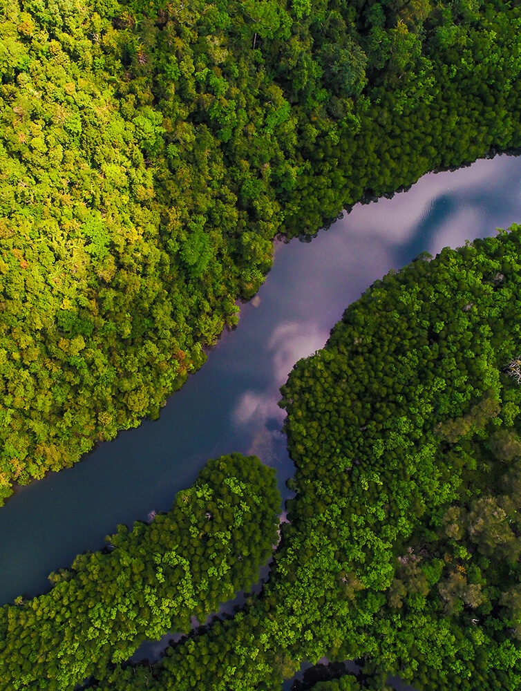 Aerial view of a winding blue river through lush green rainforest on luxury Ecuador tours.