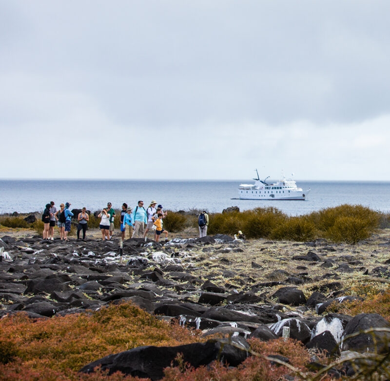 Group of tourists watching birds on a rocky Galapagos shore during luxury Ecuador holidays.