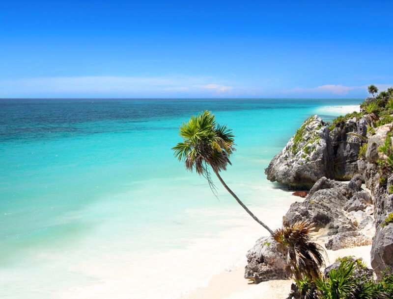 White sand beach with turquoise water, rocky cliffs, and a leaning palm tree in Tulum, great for luxury Mexico vacations.