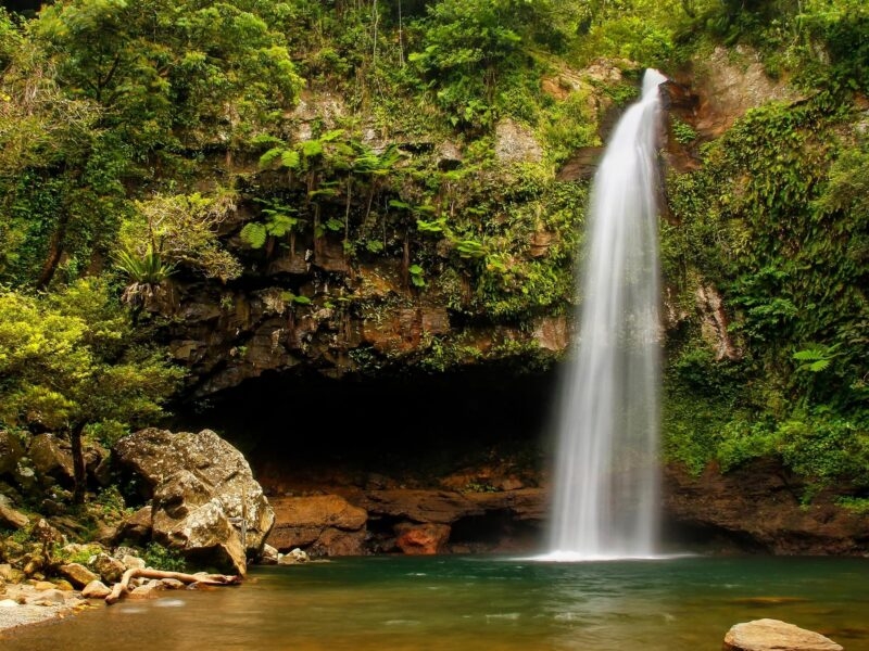 A waterfall flowing into a dark pool surrounded by dense tropical ferns on luxury South Pacific trips.